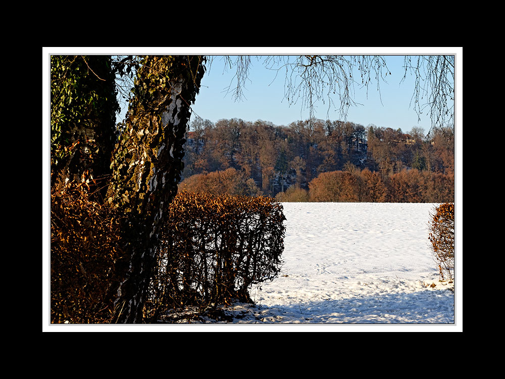 Winterliches Burghausen 119