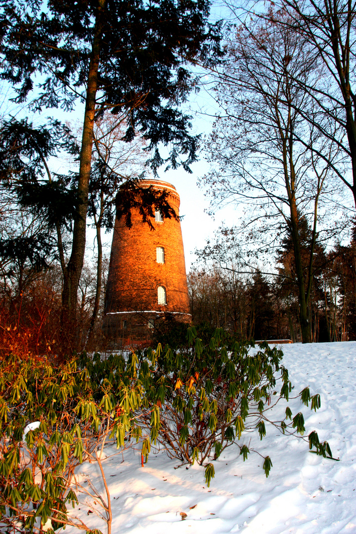 winterliches Dämmerlicht