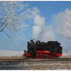 Winterliches Dampflok-Porträt in Posewald