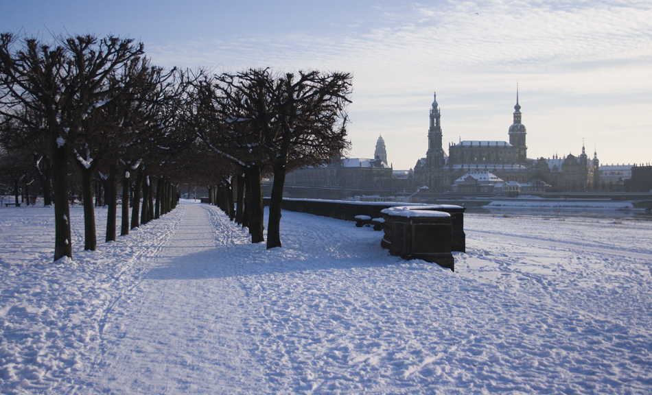 Winterliches Dresden