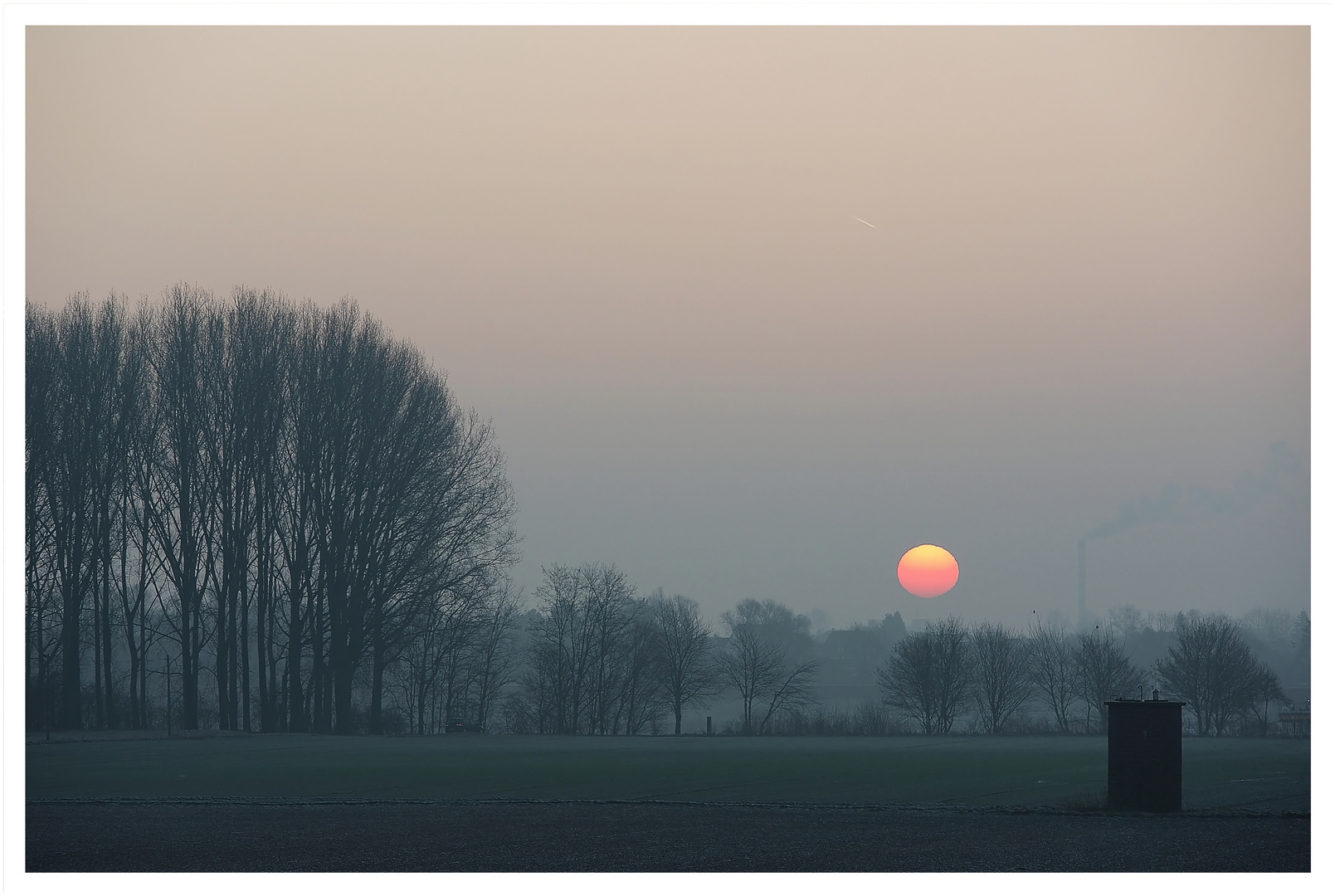 Winterliches Erwachen