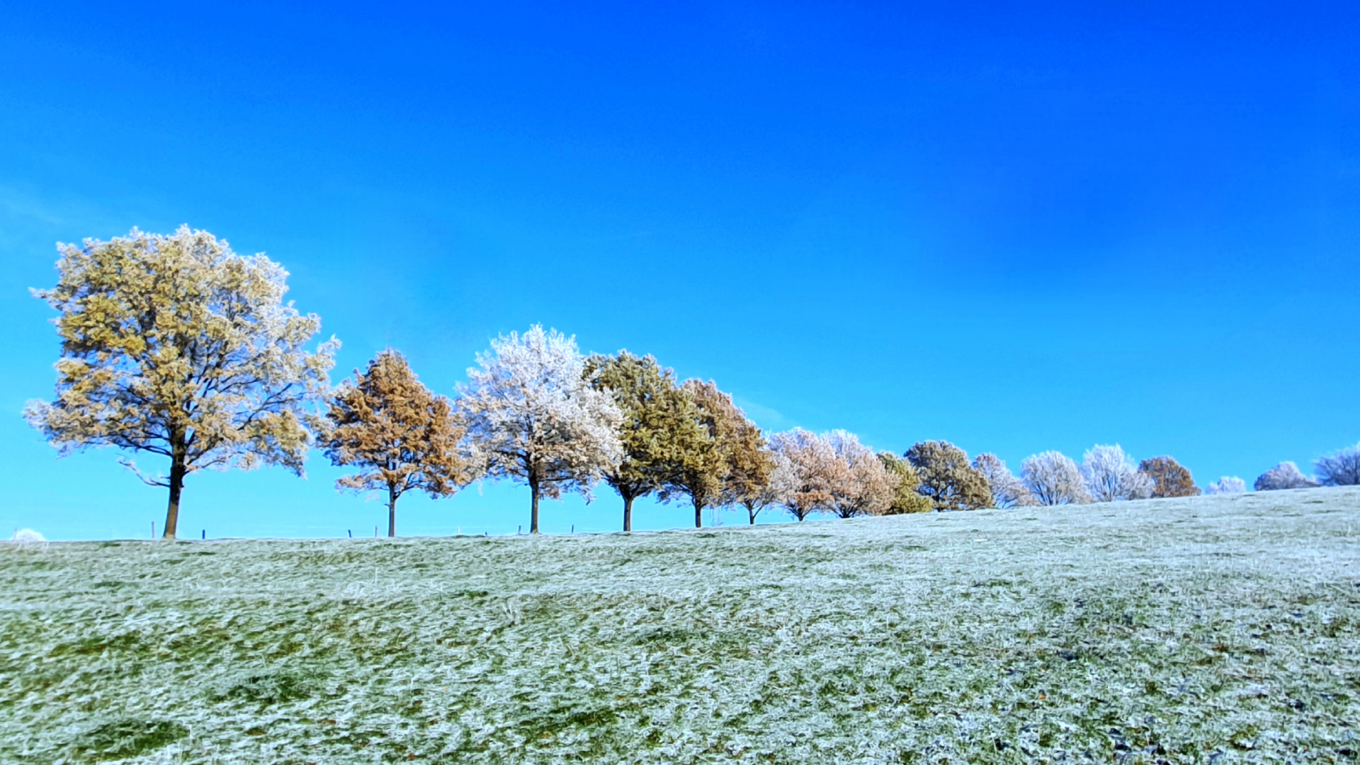 winterliches Farbenspiel