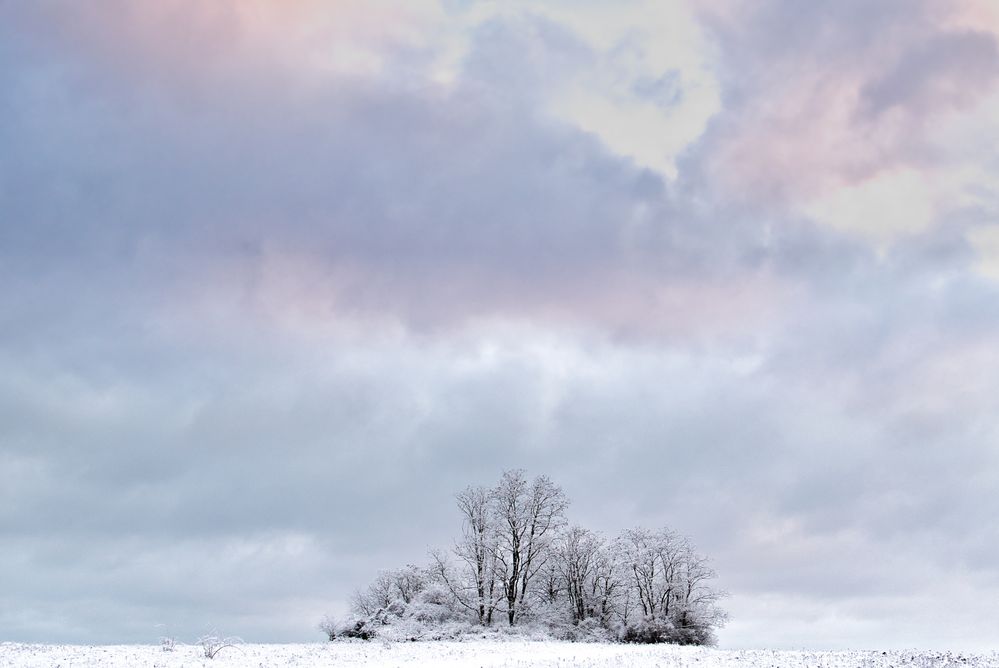 Winterliches Farbenspiel 