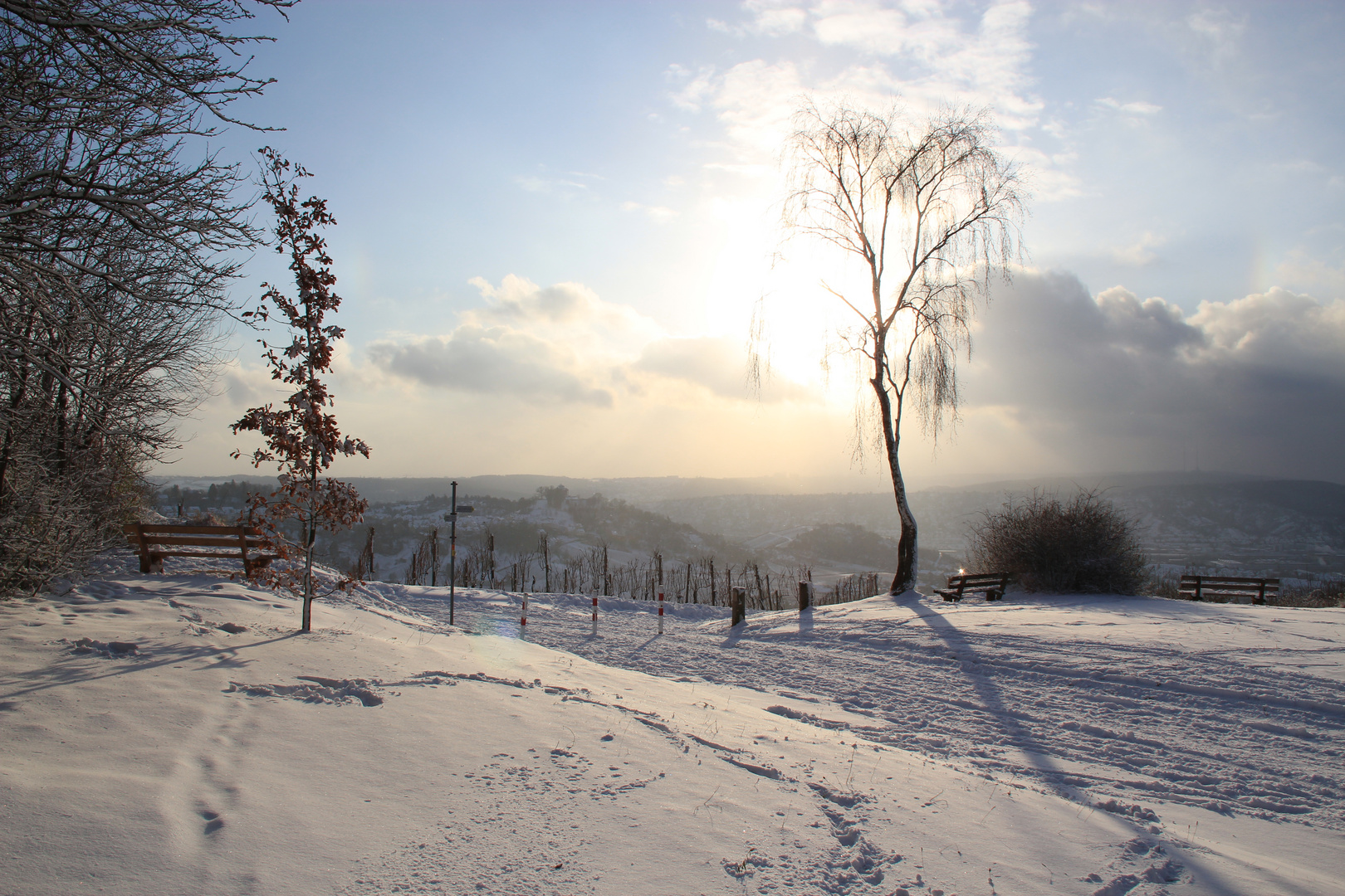 Winterliches Farbspektakel