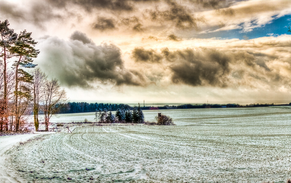 Winterliches Feld bei Bad Helmstedt