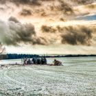 Winterliches Feld bei Bad Helmstedt