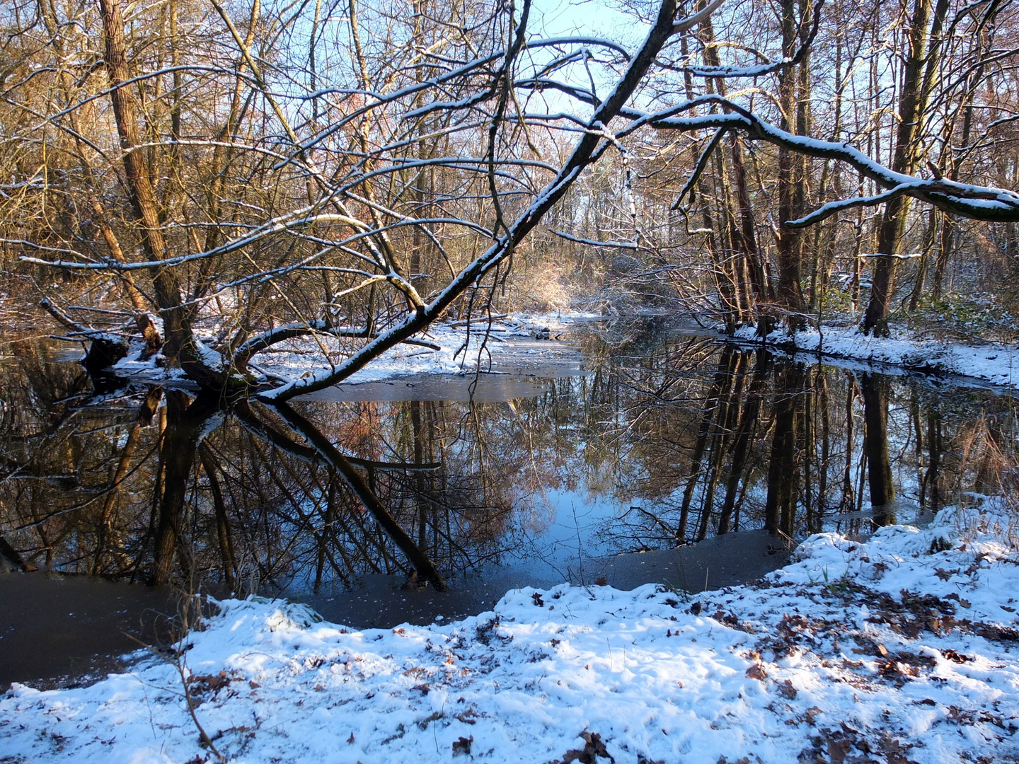 winterliches Fließ