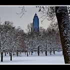 ~ Winterliches Frankfurt ~1~