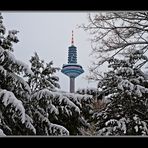 ~ Winterliches Frankfurt ~3~