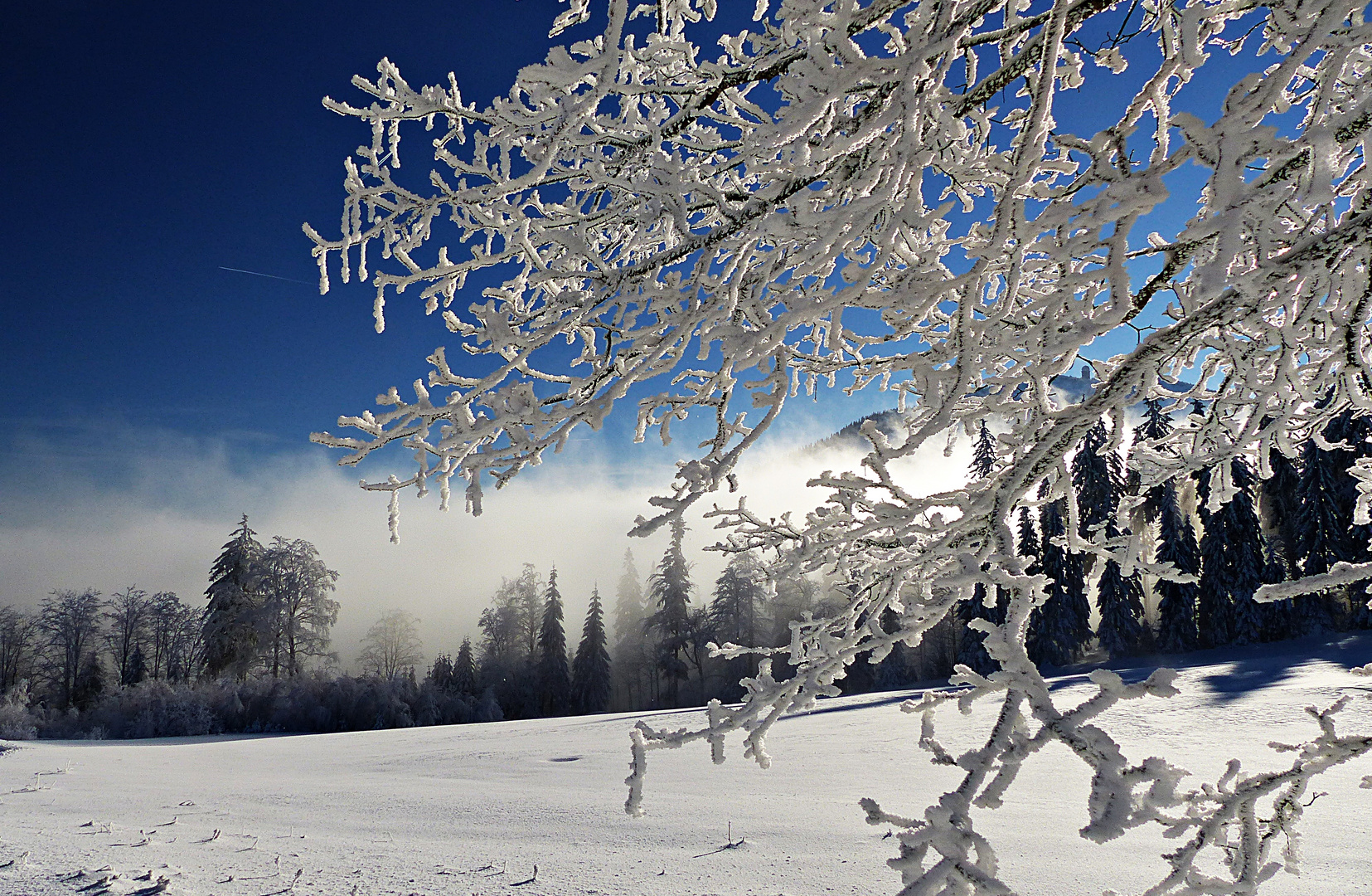 Winterliches Gebirge