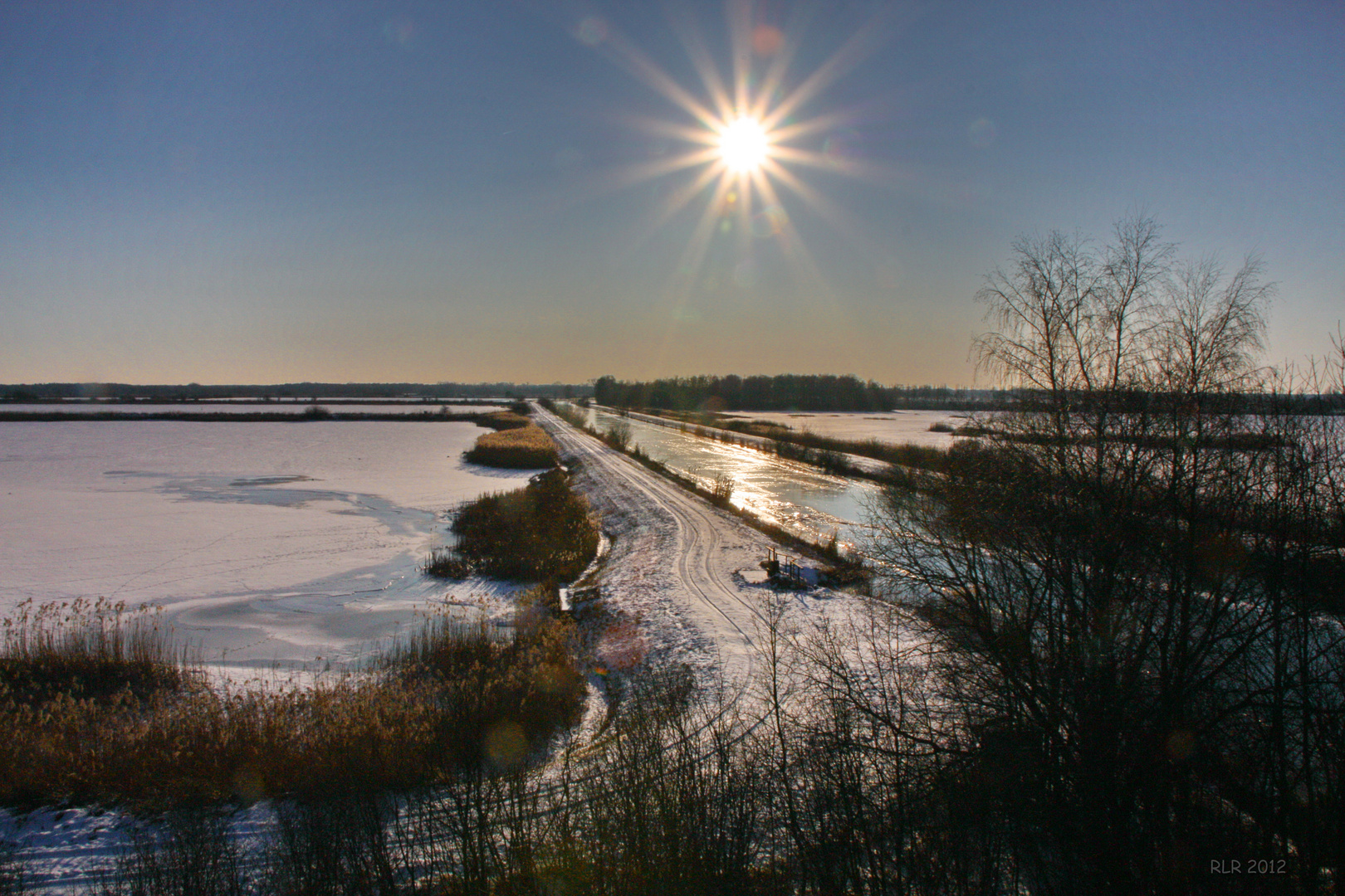 Winterliches Gegenlicht