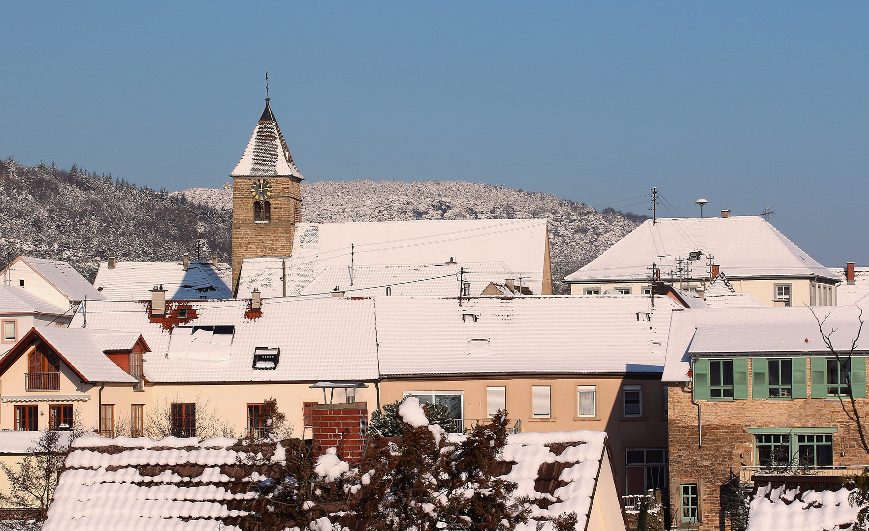 Winterliches Gimmeldingen