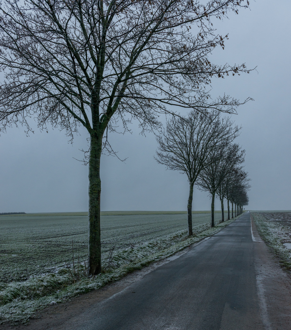 Winterliches Grau