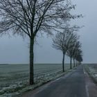 Winterliches Grau