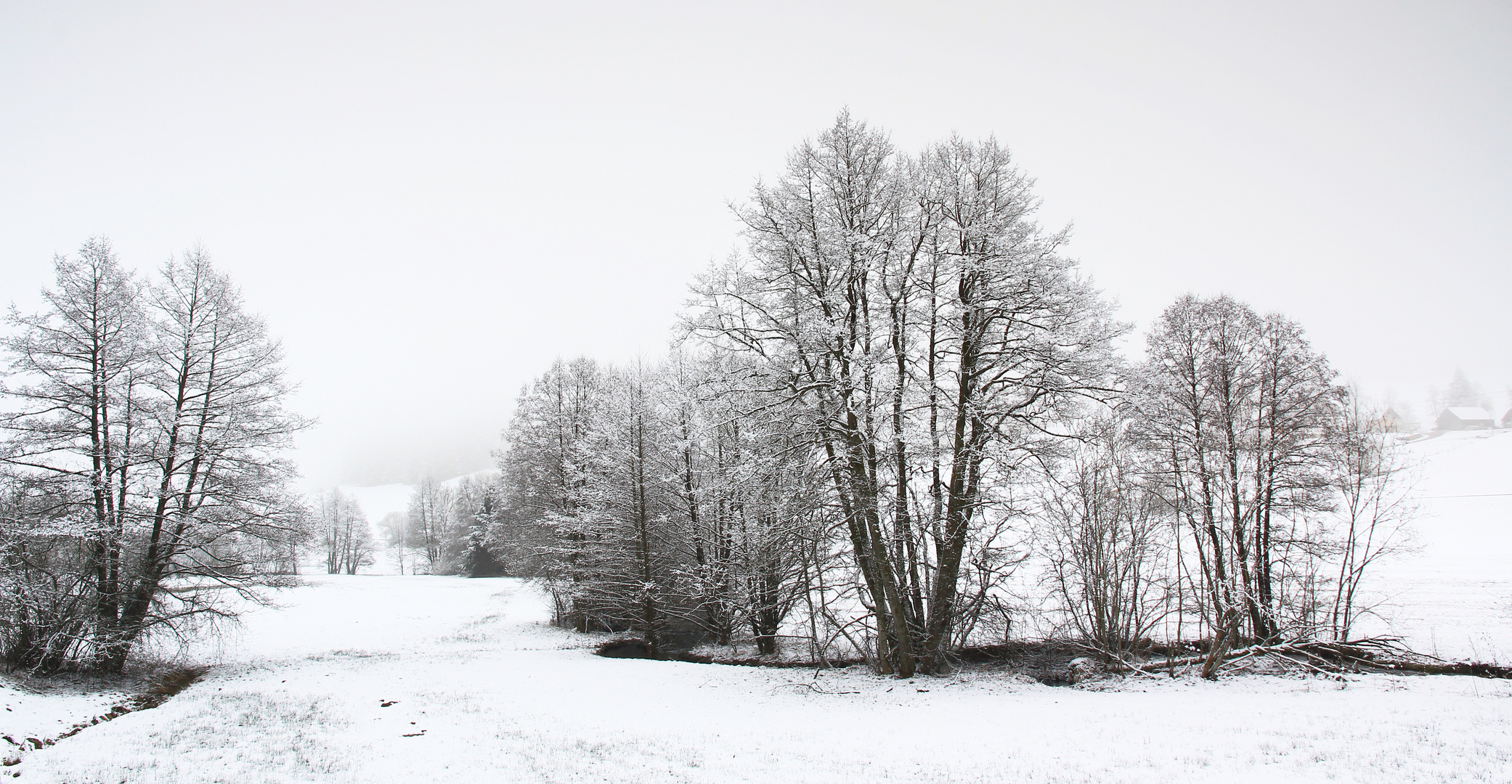 Winterliches grau