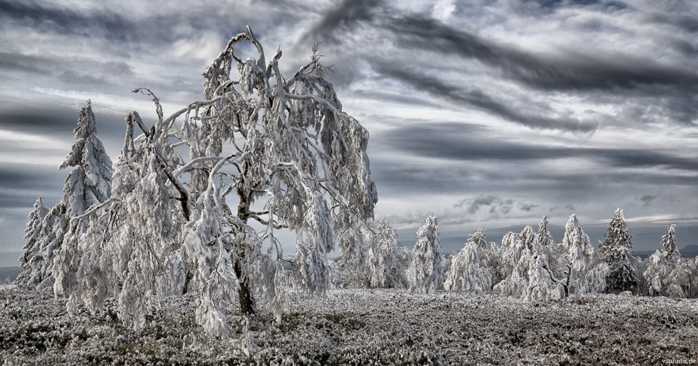 Winterliches Hochsauerland