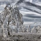 Winterliches Hochsauerland