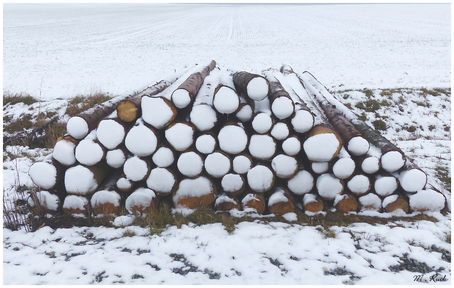 Winterliches Holz ,