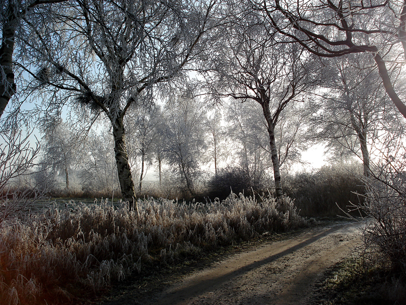 Winterliches I