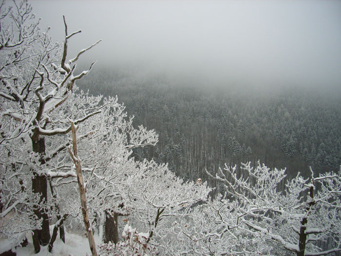 Winterliches Ilsetal