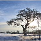 Winterliches im noch Herbst 