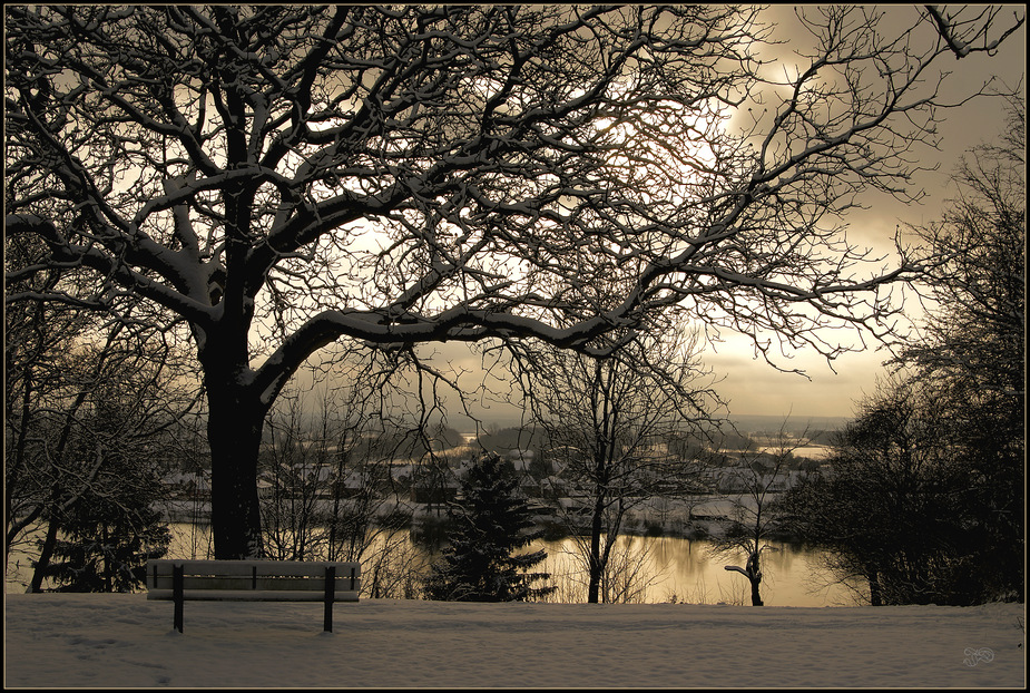 Winterliches Lauenburg (3)