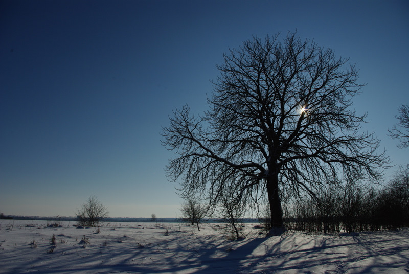 winterliches Lechfeld