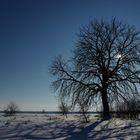 winterliches Lechfeld