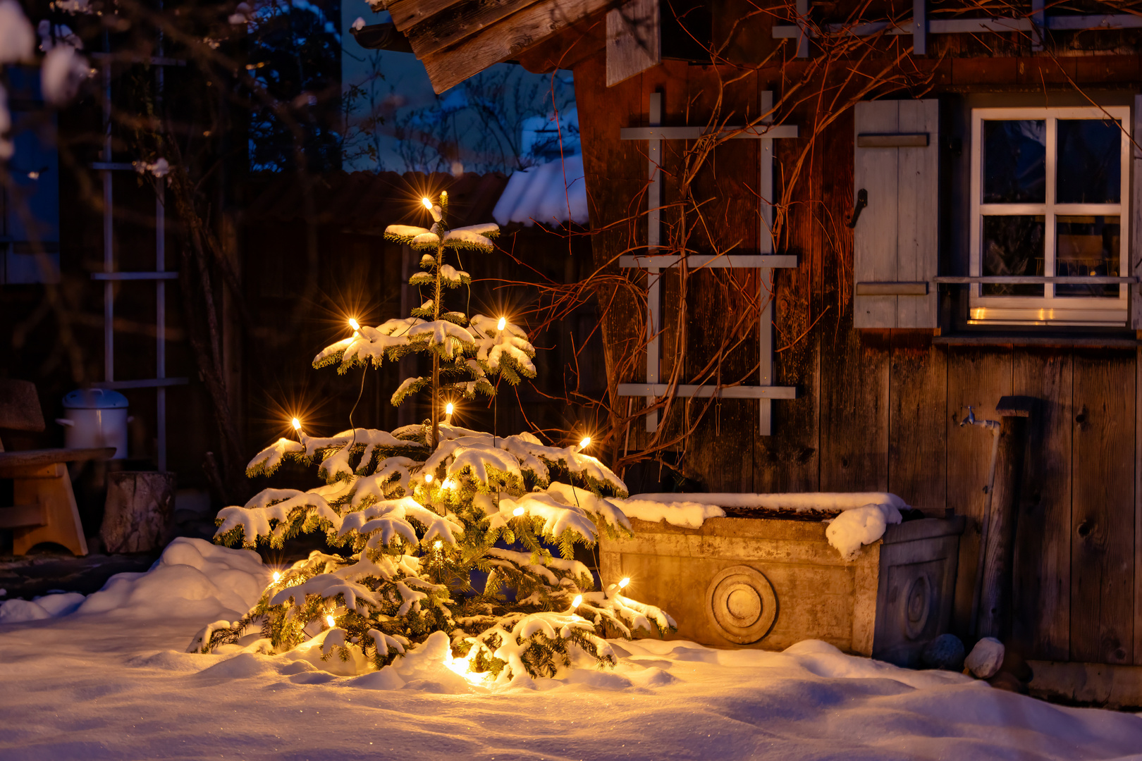 Winterliches Leuchten