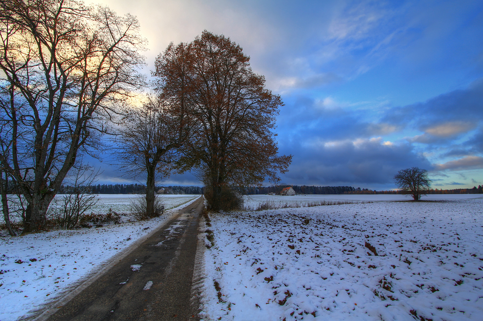 Winterliches Licht