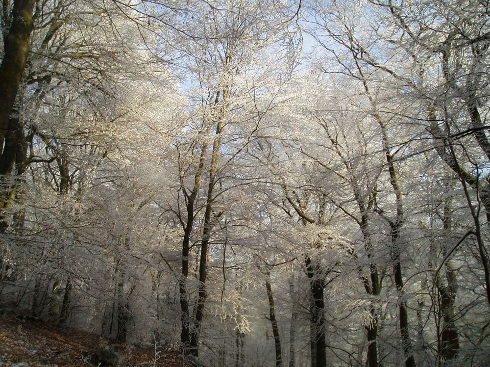 Winterliches Lichtspiel