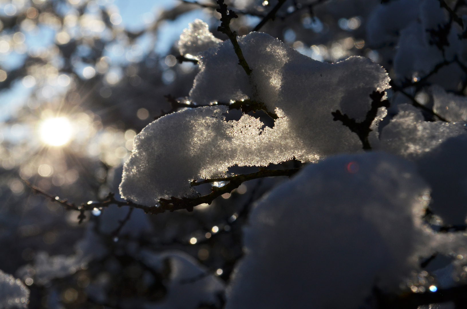 winterliches Lichtspiel