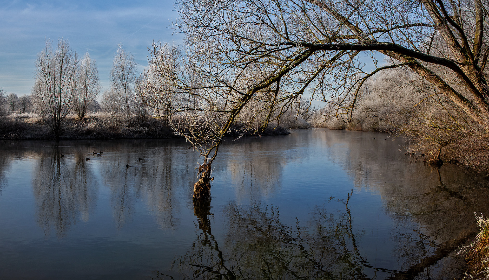 Winterliches Lippstadt 019 