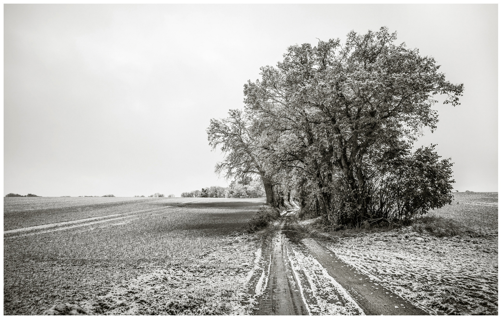 Winterliches Mecklenburg