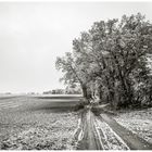 Winterliches Mecklenburg