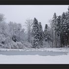 Winterliches Meggerwald