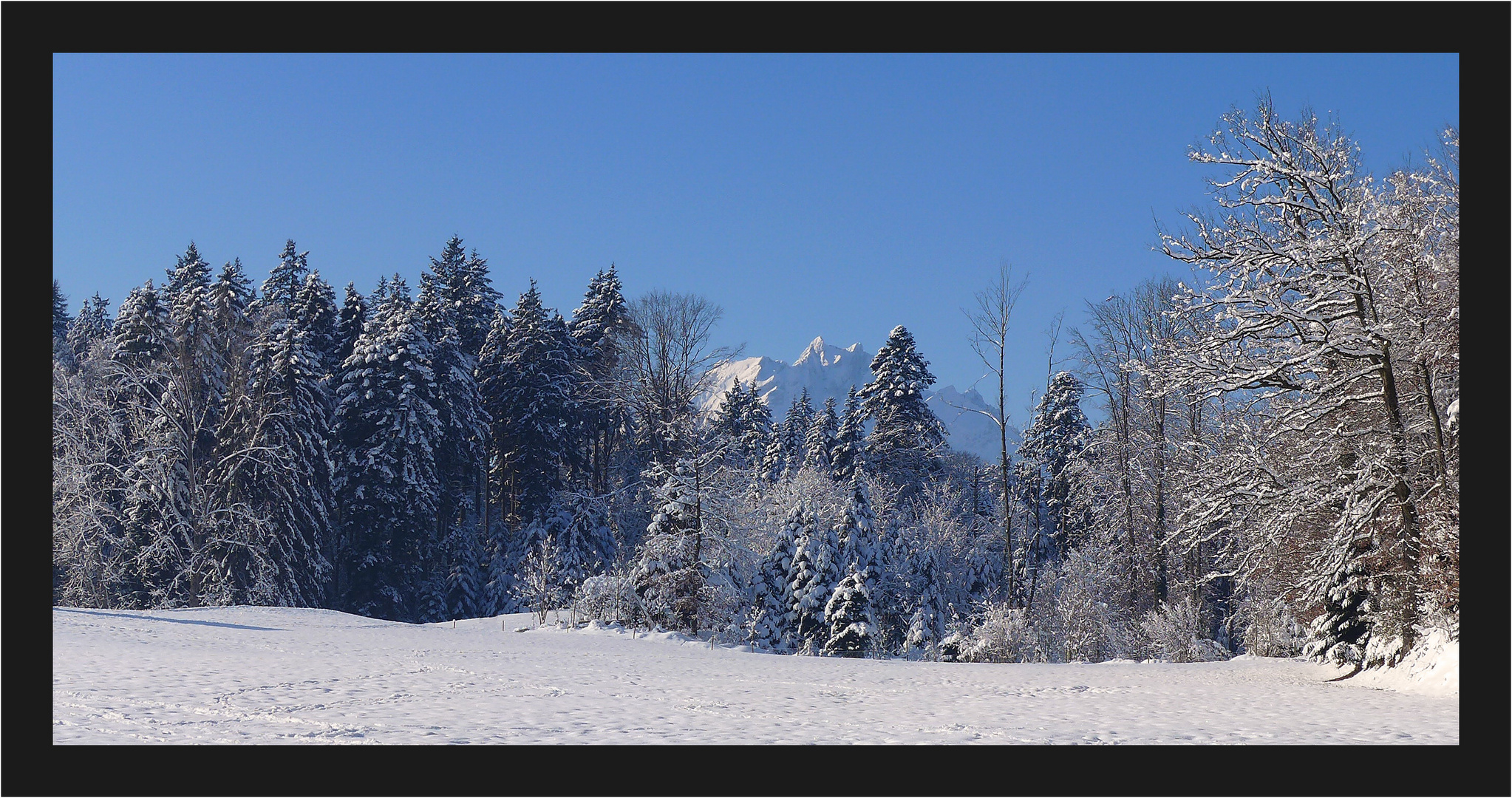 Winterliches Meggerwald II