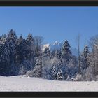 Winterliches Meggerwald II