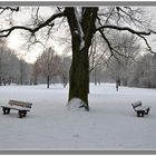 Winterliches Moers 5