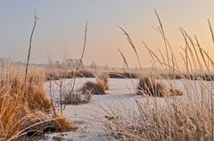 Winterliches Moor