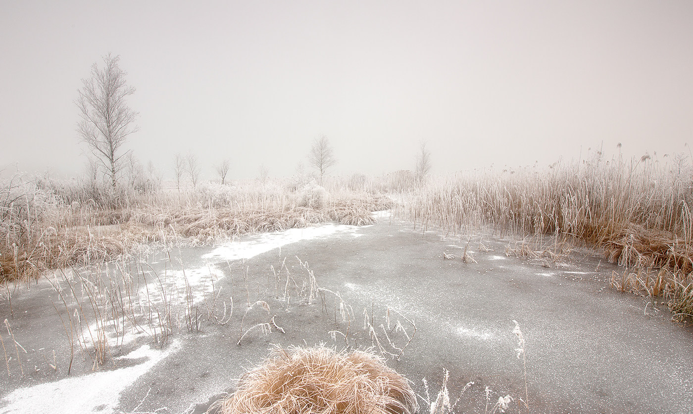 Winterliches Moor