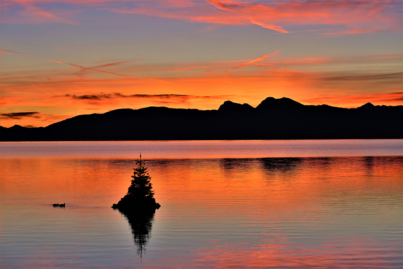 Winterliches Morgenrot