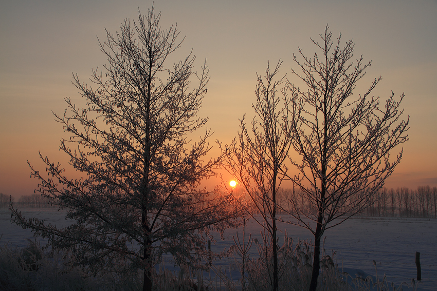 Winterliches Morgenrot