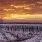 Winterliches Morgenrot Panorama 2