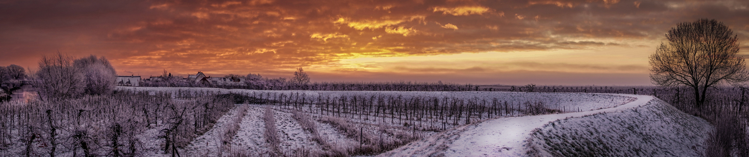 Winterliches Morgenrot Panorama 2