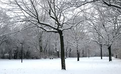 winterliches Münchfeld