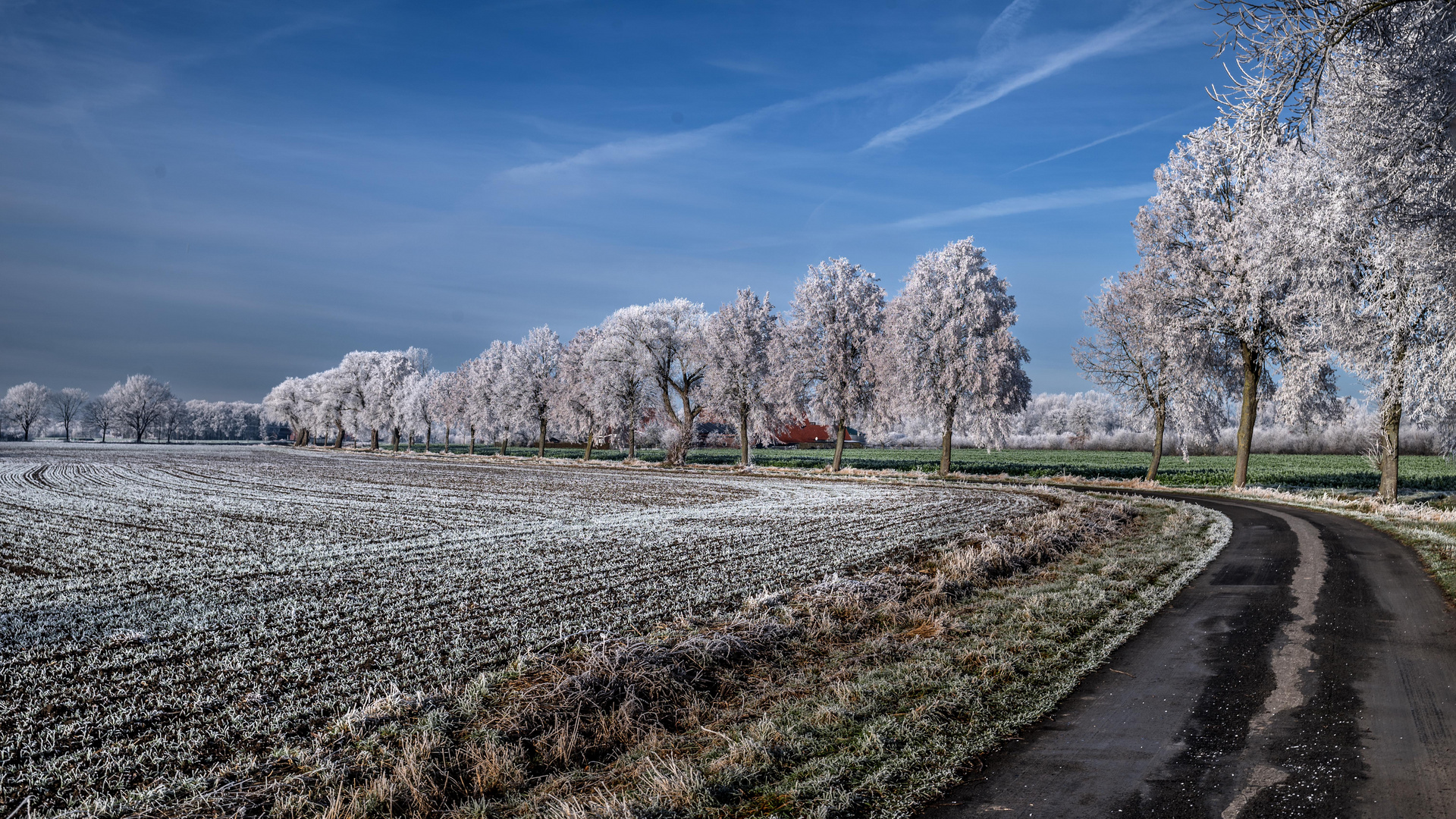 Winterliches Münsterland 