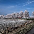 Winterliches Münsterland 