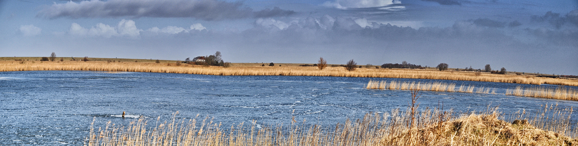 winterliches Ostfrieslandpanorama