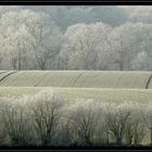 Winterliches Ostholstein